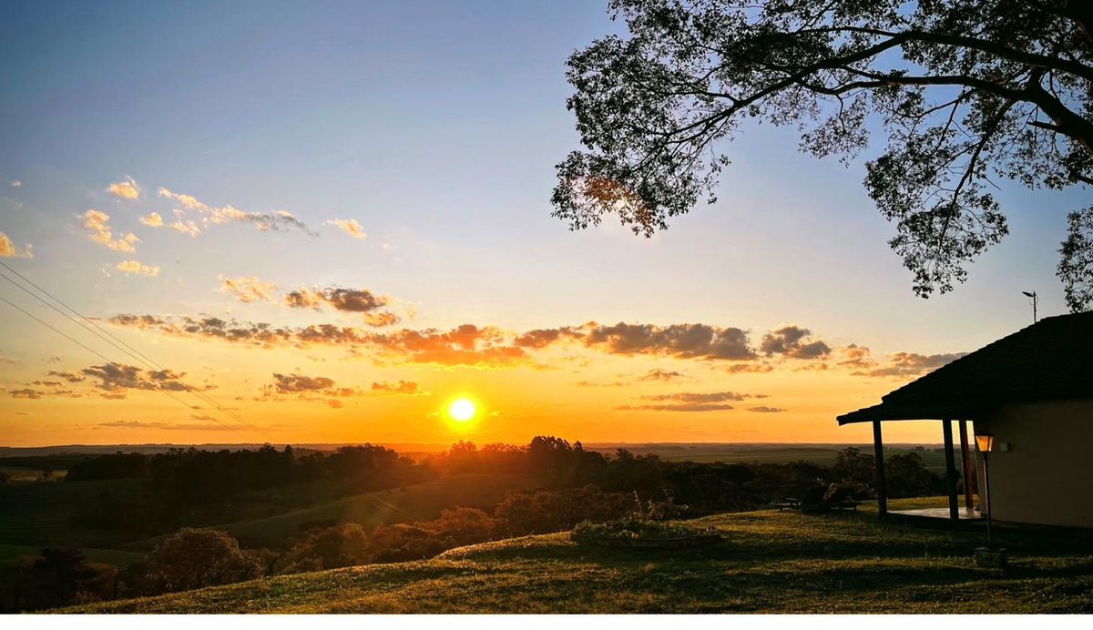 Costela e batata na parrilla de lenha — restaurante em São Pedro SP