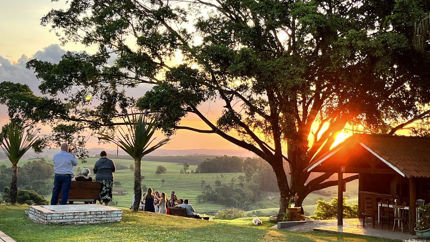 Cerimônia de casamento ao entardecer enquadrada pela figueira do Recanto — Serra do Itaqueri