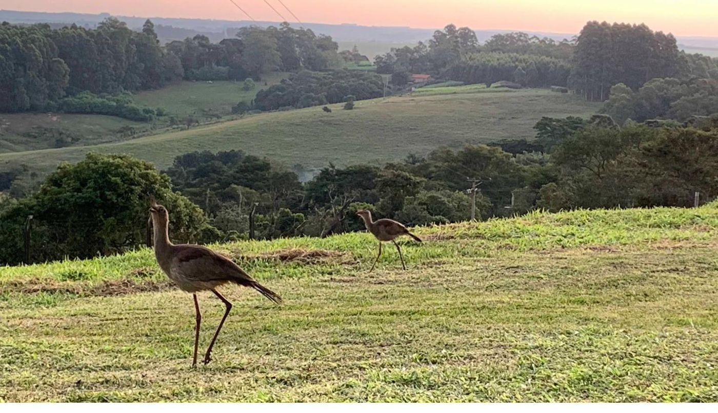 Pôr do sol com vista panorâmica — pousada na Serra do Itaqueri