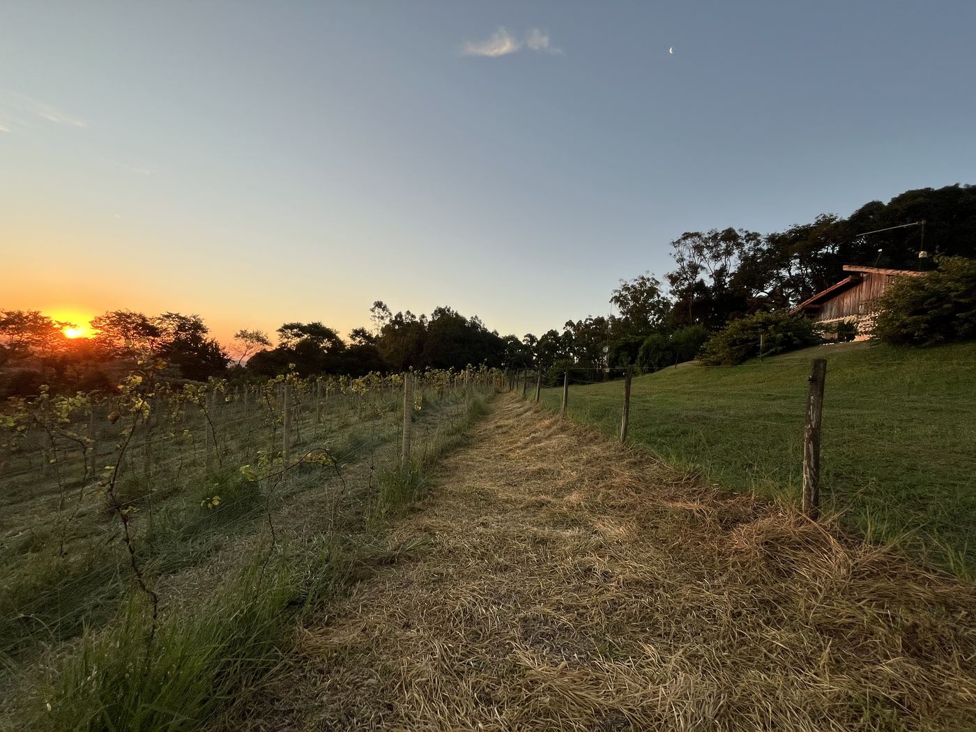 Vale do Recanto das Seriemas à noite com lua iluminando o céu — Serra do Itaqueri